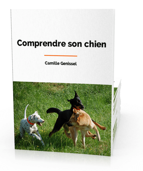 Comprendre son chien, par Camille Genissel