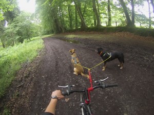 DCIM132GOPRO